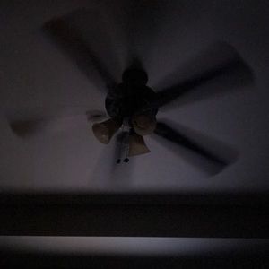 Meet your Posher, Addison